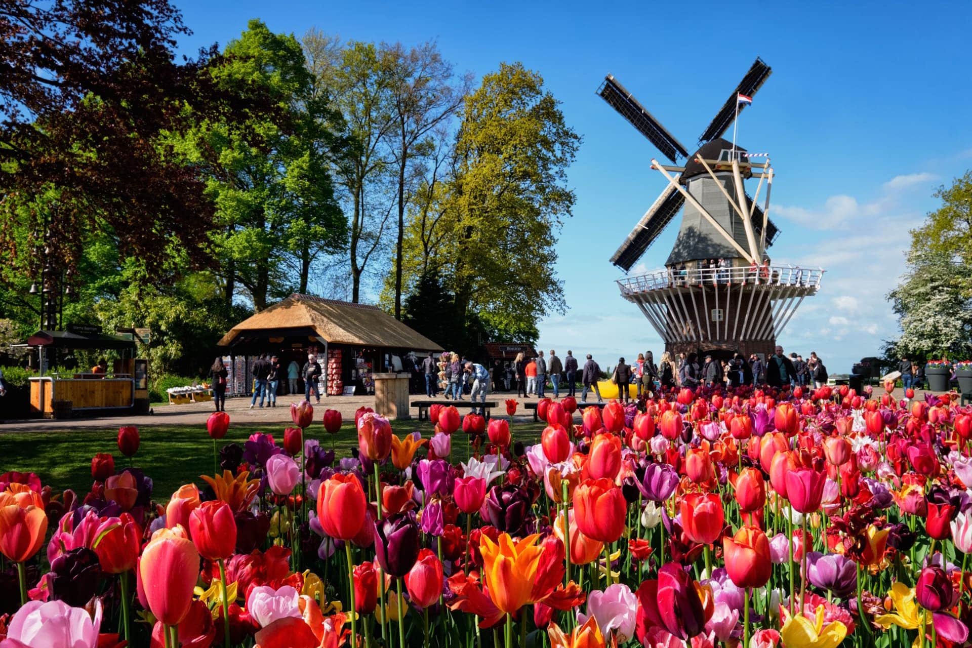 keukenhof jegy
